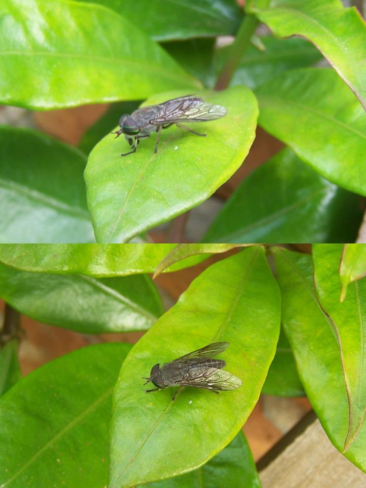 FIGURE 2 FIGURE 2